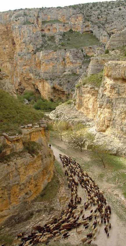 San Jorge Jaraba